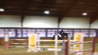 Caspar jump schooling 1.30m