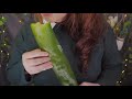Asmr All Of Aloe Personal Skincare Mage Eating Cutting Asmr All Of Aloe Personal Skincare Mage Eating Cutting