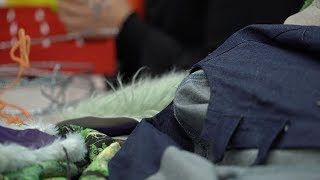 The Stolen Garment