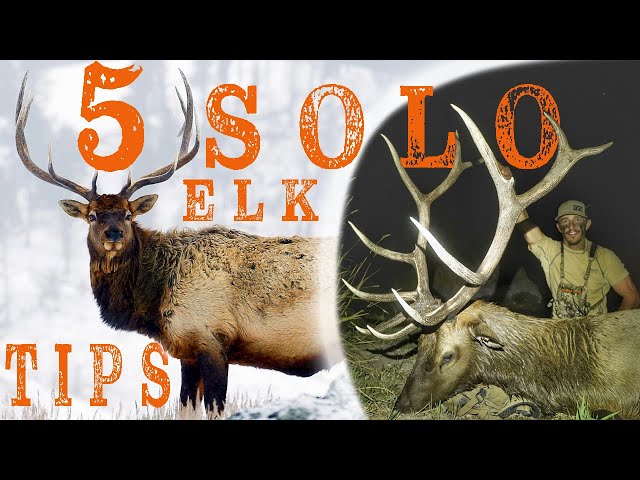 Watch 5 SOLO Elk Hunting Tips on YouTube.