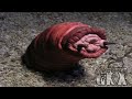Historias De Terror Creepypastas Y Hechos Paranormales Loquendo 12 Especial