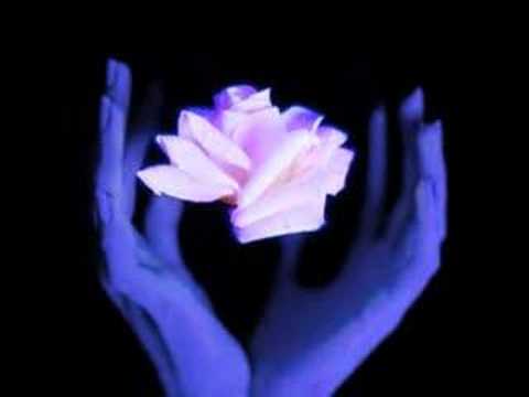 MEDITATION silencieuse