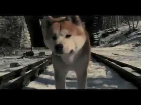 Hachiko.a. dog's .story.dvdrip.xvid-nedivx english subtitle