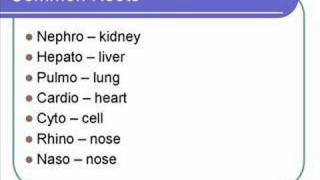 Medical Terms
