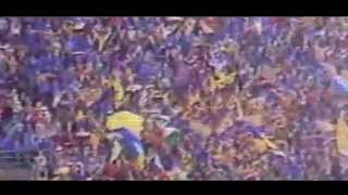 P3_1tBdNq0g Video Image