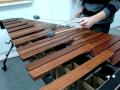 General Life - Marimba.avi
