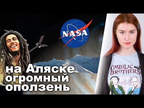 Полиция Амстердама спасла куклу Полиция Амстердама спасла куклу