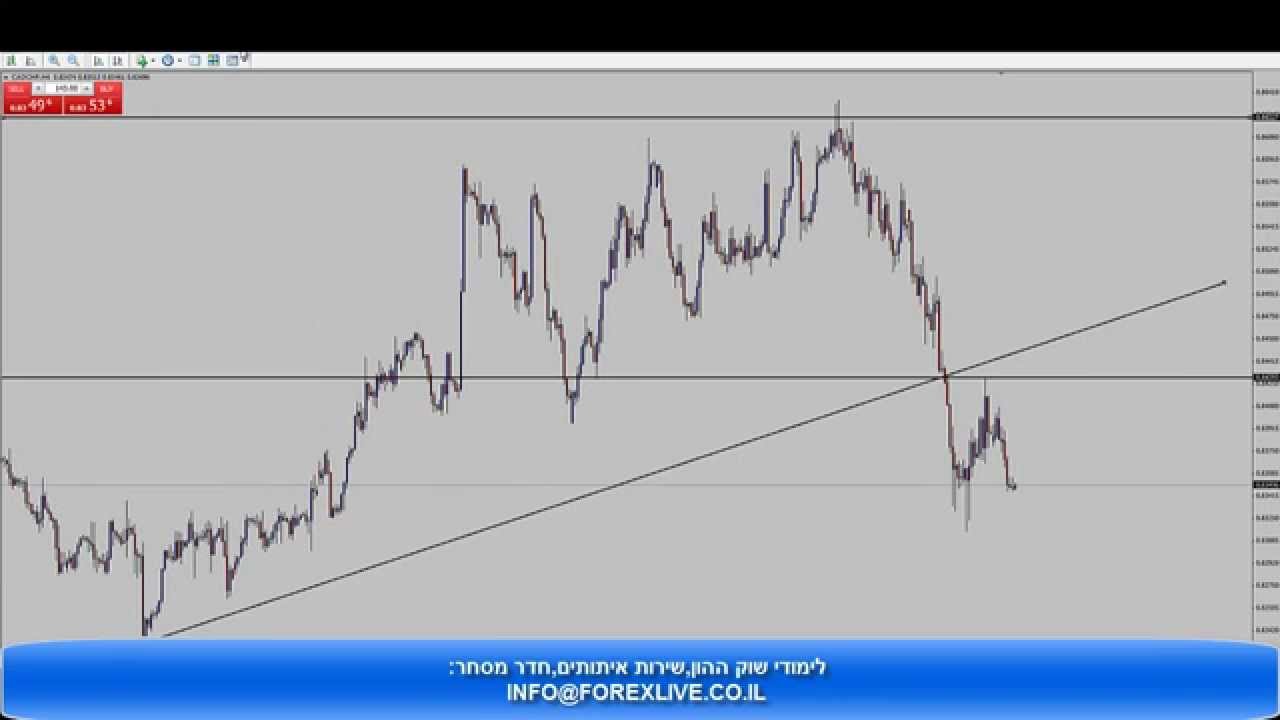 Forexlive youtube