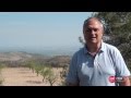 Dos años después del Incendio en Alcublas FITAG UGT Dos años después del Incendio en Alcublas FITAG UGT