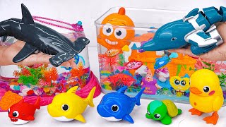 Toy Asmr Rc Shark & Hammer Shark & Zuru Fish & Baby Shark & Aquarium Asmr Satisfying With Unboxing