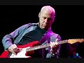 Mark Knopfler - Redbud tree