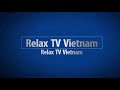 Top clip hài hước bá đạo nhất 2017 P13 - Xem đi xem lại vẫn buồn cười - Try not to laugh news SPR