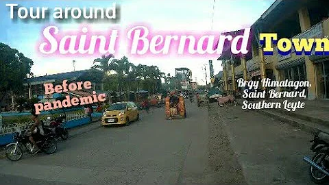 Qui es Saint-bernard ?