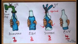 Sv, Preload, Afterload, Venous Return, Edv & Esv.