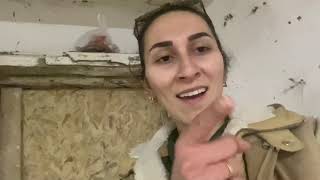 Tavuklarima Anti̇bi̇yoti̇k Hazirladim- Tavuk Ayakta Uyur Mu?