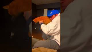 Zherka Shoots His Cat...