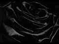 Jordan James - Livin