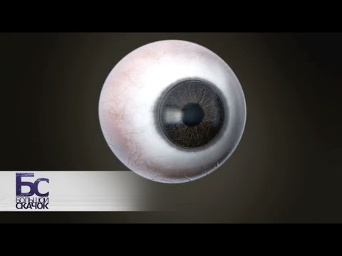 Сила цвета | Большой скачок Сила цвета | Большой скачок