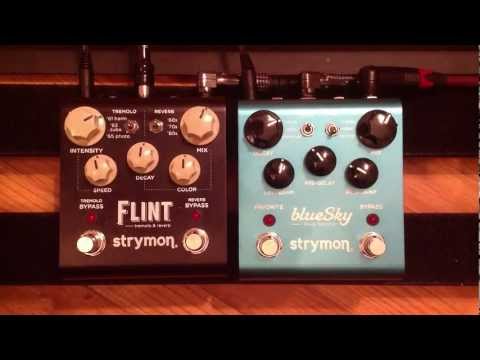 Strymon Flint Reverb vs Strymon Blue Sky Reverberator