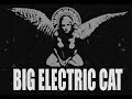 Big Electric Cat - Bed of Nails