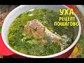 Уха рыбацкая рецепт пошагово Уха рыбацкая рецепт пошагово