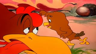 No Soy Un Zonzo Boquiflojo Soy Una Gallina Clip Gallo Claudio Y Quique Looney Tunes