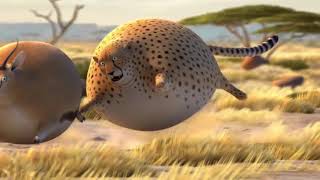 Komik Şişman Hayvanlar   Animasyon Kısa Film