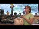 Flower Gardening Tips : How to Grow Common Heliotrope (Heliotropium Arborescens)