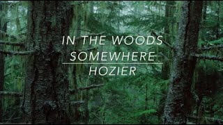 Watch Hozier In The Woods Somewhere video