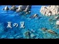 『夏の翼』 世界一の自由を体感する小説 SASURAIプロモーション動画