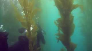 Naples State Marine Conservation Area and the Plains All American Pipeline Spill