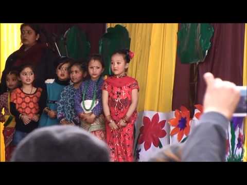 Aarju dancing at VS Niketan School Programme