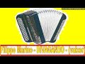 Divagando By Filippo Marino Liscio Fisarmonica Accordion Accordeon Akkordeon Valzer Divagando By Filippo Marino Liscio Fisarmonica Accordion Accordeon Akkordeon Valzer