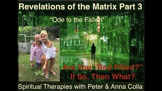 Revelations of the Matrix, Part 3 "Ode to the Fallen"