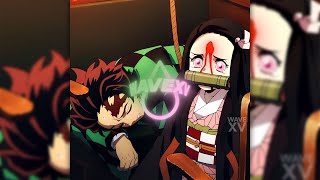 Nezuko Werkkkamv