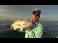 Addictive Fishing: Sam I Am - BIG JACKS and COBIA on artificials