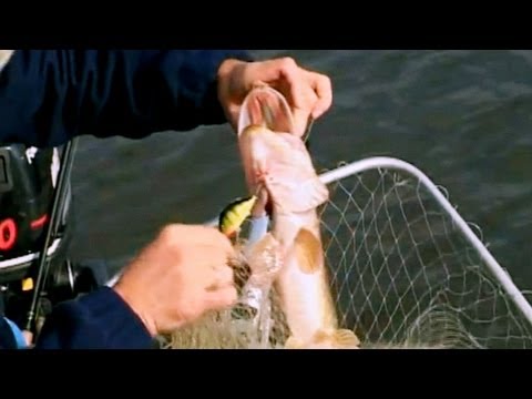 рыбалка летом на мормышку с поплавком видео рыбалка летом на мормышку с поплавком видео