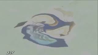 Klasky Csupo In G Major 267 135132