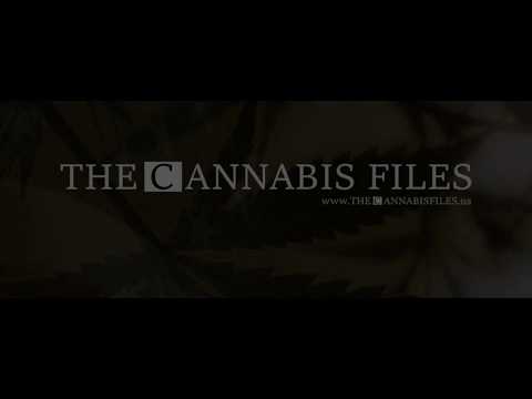 The Cannabis Files #004 feat James Meissner