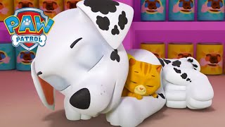 Hora Da Soneca Com O Marshall - Patrulha Canina Paw Patrol - Desenhos Animados Para Crianças