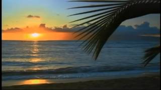 Watch Bobby Darin A True True Love video