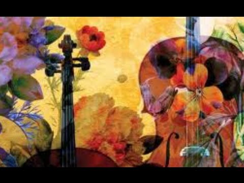 Vivaldi - Cello Sonata No. 5 in E minor, RV 40