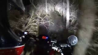 Black Dog Night Ride 2016 - Long