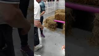 Heater Barn Hunt Run.