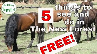 5 FREE things to see and do in The New Forest #newforest