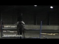 Horsemart:How to see a horse's Stride