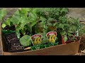 gardening