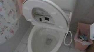 Talking Toilet