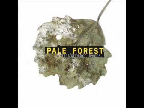 Pale Forest - Transformation Hymn
