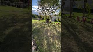 PA7rrAP96oI Video Image
